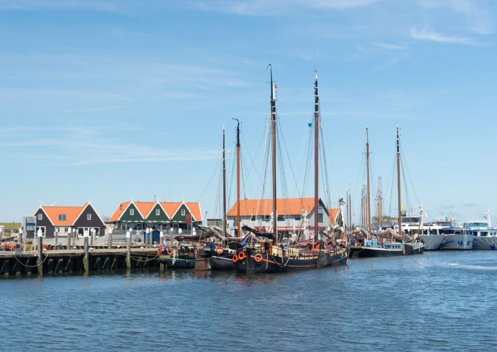Jong op Texel