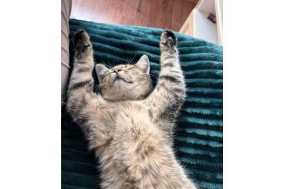 Beter slapen begint met kleine stappen