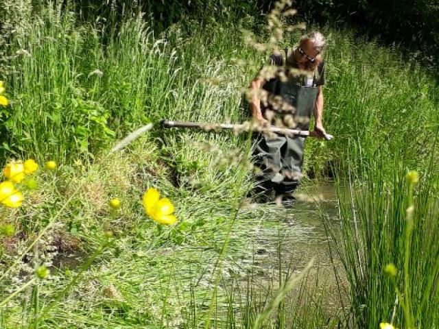 Kom als vrijwilliger werken in de eetbare natuurtuinen